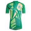 Original Fußballtrikot Italien Torwart EURO 2024 Grüne Für Herren